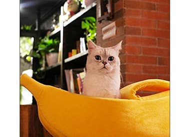 · Petgrow · Cute Banana Cat Bed House Medium Size, Christmas Pet Bed Soft Cat Cuddle Bed, Lovely Pet Supplies for Cats Kittens Rabbit Small Dogs Bed,Yellow - Image 8