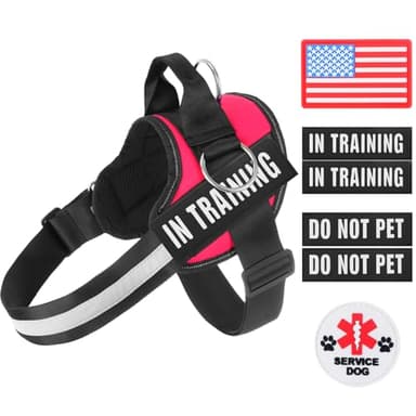 Essential Dog Harness, No Pull Pet Harness with 3 Side Rings for Leash Placement, No Choke, Reflective, Adjustable Pet Vest, Easy On-Off & Improved Control Handle, Training, Walking, Running - Image 2