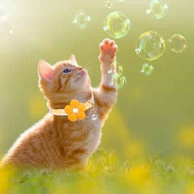 Cat Collar, HYQHYX Breakaway Kitten Collar with Flower,Rhinestone Kitty Collar with Bell, Floral Pet Collar with Safety Buckle for Cats and Puppy Dog - Image 7