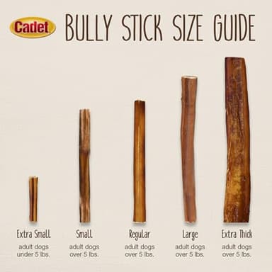 Cadet Bully Sticks for Small Dogs – All-Natural Beef Pizzle, High Protein, Low Fat, Long-Lasting, Grain & Rawhide-Free Dog Chews for Aggressive Chewers, Small (12 Ounce) - Image 6