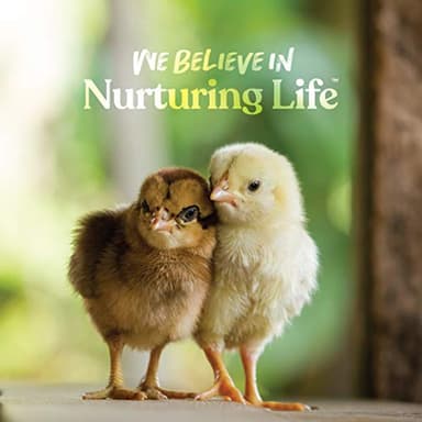 Manna Pro Chick Grit, Digestive Supplement for Young Poultry and Bantam Breed, Probiotics to Support Digestion, No Artificial Ingredients or Preservatives, Insoluble Crushed Granite, 25 lbs - Image 6