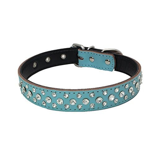 Dogs Kingdom 14.5"-20" Genuine Leather Padded Rhinestone Dog Collars Bling Dog Collar Pet Collar Small Medium Dog Customized Crystal Dog Collar Blue M - Image 1