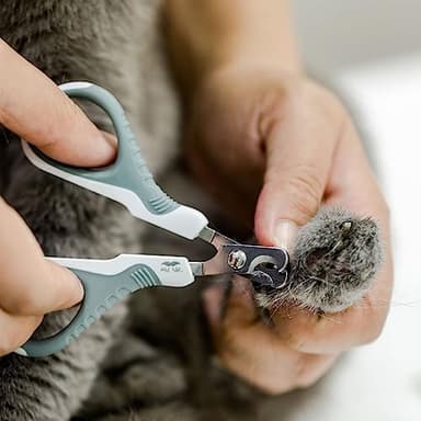 Mr. Pen- Cat Nail Clipper Cat Nail Trimmers Cat Claw Clippers Cat Claw Trimmers Kitten Nail Clipper Cat Clippers Nails Nail Clippers Cats Pet Nail Clippers Cats Cat Nail Cutter Olive ALNA001M301N - Image 8