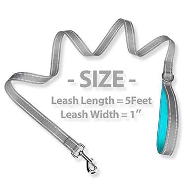 PHOEPET 5 Feet Dog Leash - Dual-Side Reflective - Soft Padded Handle - Fit for Walking, Training or Exploring Hiking, Camping (Grey + Mint Green Base) - Image 5