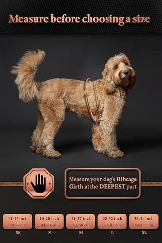 NOAH & PAW Dog Life Jacket, Human Standards Lifejacket Design, Dog Life Vest for Swimming and Boating, 3X Foam Support for Max Floating, Breathable Mesh, Salvavidas para Perros, Size XL - Image 4