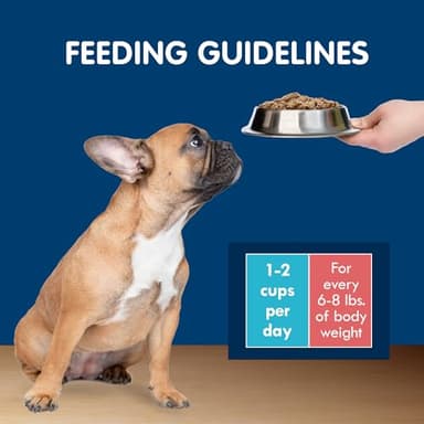 Blue Buffalo Delights Natural Adult Small Breed Wet Dog Food Cups, In Gravy, Chicken, Prime Rib and NY Strip 3.5-oz (24 Pack- 8 of Each Flavor) - Image 5