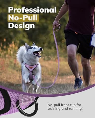 MIDOG No-Pull Dog Harness | Adjustable & Reflective Pet Harness Leash Set for Small Medium Large Dogs Walking, Training| No Choke, Front Clip, Soft Padded Vest with Easy Control Handle - Purple, S - Image 4