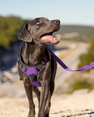 Joytale No Pull Dog Harness for Small Dogs, Reflective Pet Vest with Front Clip, Adjustable Soft Padded Harnesses with Easy Control Handle for Training and Walking, Purple, S - Image 4