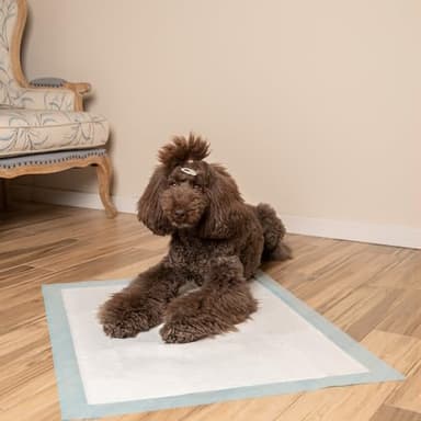 Best Pet Supplies XL Puppy Pads 40 Count - Super Absorbent Dog Training Pads, Quick-Dry, Odor Control, Disposable Pee Pads, Leak-Proof Wee Wee Pads for Indoor Dogs – Baby Blue XL, 40 Pack - Image 8