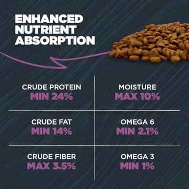 Blackwood Sensitive Skin & Stomach Dry Dog Food, Salmon Meal & Brown Rice with Ancient Grains, 24 Pound Bag with Prebiotics & Probiotics to Promote Gut Health - Image 7