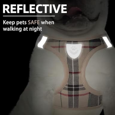 PUPTECK Adjustable Pet Harness Collar &Leash Set Step in for Small Dogs Puppy &Cats Outdoor Training &Running, Soft Mesh Padded Reflective Vest Harness,M: Chest girth: 16-18in Collar: 11.8-15.7in - Image 5