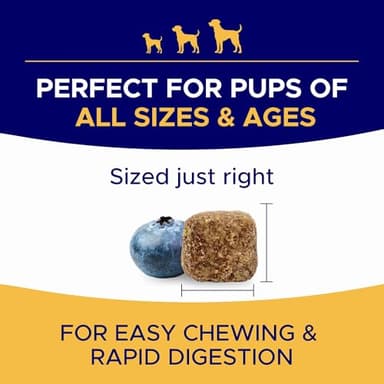 Omega 3 Fish Oil for Dogs (180 Ct) - Skin & Coat Chews - Dry & Itchy Skin Relief + Allergy Support - Shiny Coats - EPA&DHA Fatty Acids - Natural Salmon Oil Chews Promotes Heart, Hip & Joint Support - Image 6