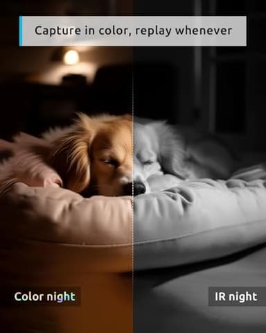 blurams Pet Camera 2K, 360° Dog Camera with Phone App, PTZ Indoor Cameras for Home Security Indoor, 2-Way Audio, Motion Tracking, Color/IR Night Vision, Siren, Cloud&SD(2.4GHz Only) - Image 3