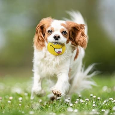 HDSX 4 Pack 2.8" Smiley Face Squeaky Dog Toys Soft Dog Balls Latex Rubber Squeak Dog Toys for Small Medium Puppy Pet Dogs (Emoji) - Image 6