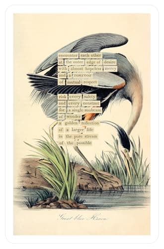 An Almanac of Birds: 100 Divinations for Uncertain Days - Image 6