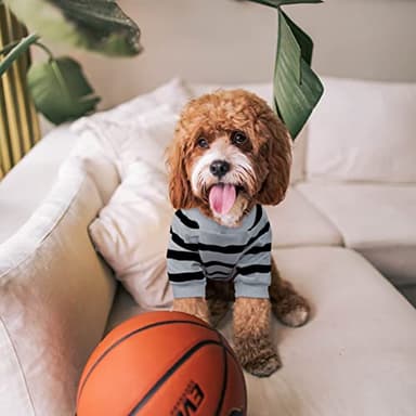 Preferhouse Pet Dog Striped T-Shirt Dogs Cats Cotton Vest Spring Summer Pet Apparel Tee Shirt Suitable for Small and Medium Large Pets French Bulldog Bichon - Image 5