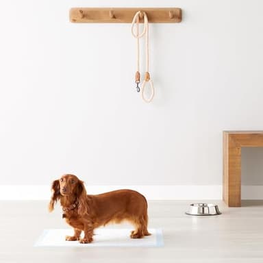 Amazon Basics Heavy Duty Dog and Puppy Pee Pads, 5-Layer Leak-Proof Ultra Absorbent, Quick-Dry Surface, Potty Training, Regular (24x23"), 50 Count, Blue & White - Image 6