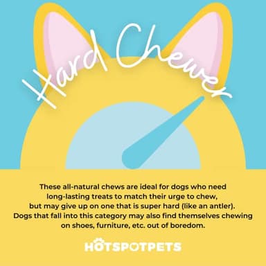 hotspot pets 5 Pack - 8-9 Inch Large Rawhide Dog Chew Bones - Made from Grass Fed Brazilian - Great for Dental & Oral Care for Aggressive Chewers Large Dogs (5 Pack) - Image 5
