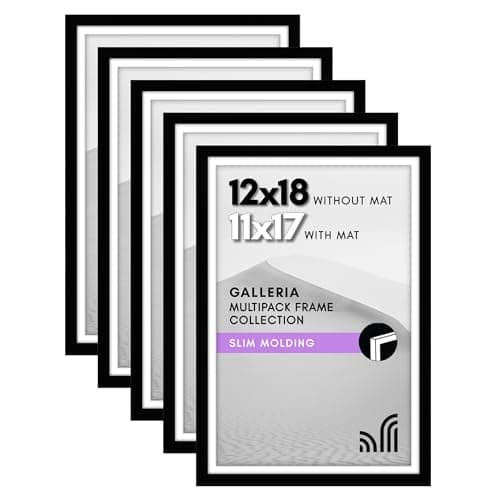 Americanflat 12x18 Poster Frame with Polished Plexiglass - Set of 5 - Use as 11x17 Frame with Mat or Display 12x18 Photo Without Mat - Galleria Collection - Picture Frames for Wall Display - Black - Image 1
