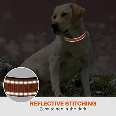 Taglory Reflective Dog Collar with Safety Locking Buckle, Adjustable Nylon Pet Collars for Large Dogs, Orange - Image 5