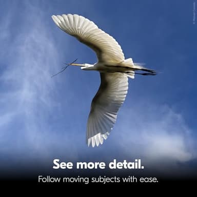 Nikon STABILIZED S 10x25 Binoculars - Optical Image Stabilization, Blur-Free View, Waterproof Design, 10x Magnification for Hunting, Birdwatching & Outdoor Activities - Image 5