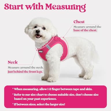 rabbitgoo Dog Harness Small Sized and Leash Set, Step in Soft Light Puppy Vest, Breathable Mesh Pet Harness, Reflective for Safe Easy Walking, Rose Red M - Image 2