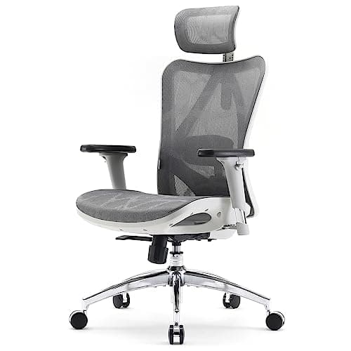 SIHOO M57 Ergonomic Office Chair with 3 Way Armrests Lumbar Support and Adjustable Headrest High Back Tilt Function Light Grey, M57-M114 - Image 1