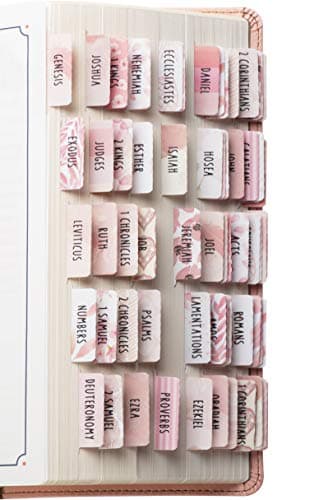 DiverseBee Laminated Bible Tabs for Women (Large Print, Easy to Read), Colorful Bible Journaling Book Tabs, Christian Gift, 66 Bible Tabs Old and New Testament, Includes 11 Blank Tabs - Rose Theme - Image 1