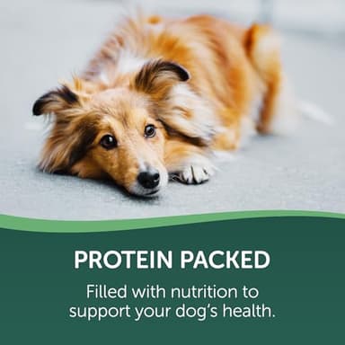 westminster pet products 08222 Wag N Tails, LB, Ducky Jerky, Dog Treat - Image 4