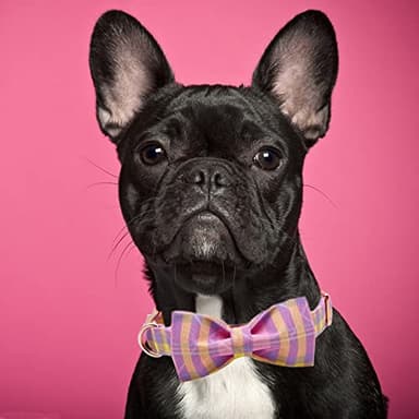 Bobo Rainbow Girl Dog Collar, Pink Plaid Adjustable Dog Bow Collar Girl Pet Collar Bowtie Duarble Dog Collars for Small Medium Large Dog - Image 6