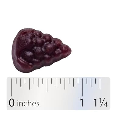 Nature’s Way Sambucus Elderberry Gummies, Immune Support Gummies*, Black Elderberry with Vitamin C and Zinc, 60 Gummies - Image 9