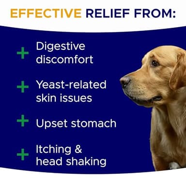 GOODGROWLIES Probiotics for Dogs Gut Health & Digestive Function Support - Probiotic Chews w Pumpkin & Omega - Upset Stomach & Gas Relief, Constipation, Canine Prebiotic Supplement - Image 4