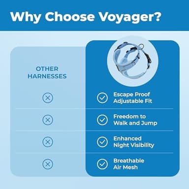 Voyager Escape Proof Cat Harness and Leash Set with Reflective Stitching, Neoprene Handle 5ft - Supports Small, Medium and Large Cats, Kittens for Walking by Best Pet Supplies - Baby Blue, XS - Image 7