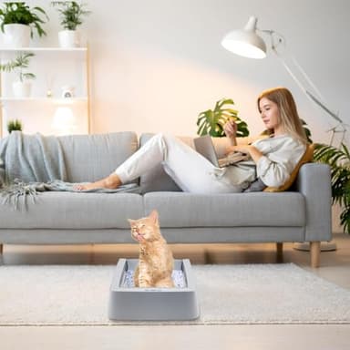 Stainless Steel Reusable Litter Tray Compatible with Petsafe Scoop-Free Self-Cleaning Cat Litter Boxes - Never Absorbs Odor, Stains, or Rusts (Stainless Steel Litter Tray) - Image 6