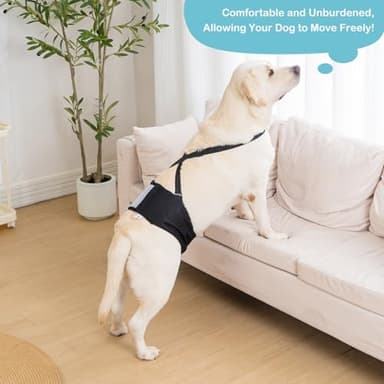 3 Pack Avont Dog Belly Bands Diapers Male with 1 Detachable Suspender, Reusable Washable Boy Doggie Pee Wraps with Harness, Separable Shoulder Strap Escape Proof & Non-Slip -3 Black 2XL - Image 5