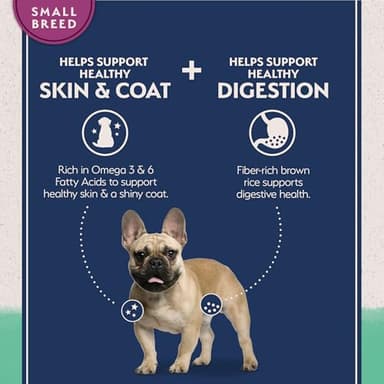 Natural Balance Limited Ingredient Small Breed Adult Grain-Free Dry Dog Food, Chicken & Sweet Potato Recipe, 4 Pound (Pack of 1) - Image 5