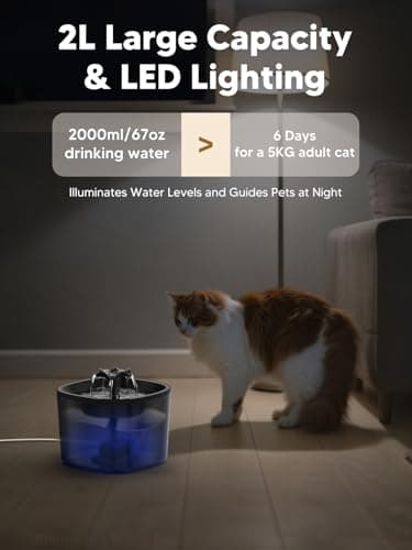 Automatic Cat Feeder and Water Fountain, 4L/16 Cups Timed Cat Dry Food Dispenser, 10s Meal Call, 20 Portions 6 Meals Per Day, 2L Cats Fountains for Drinking with Filter, Pet Feeder for Dog Black - Image 6