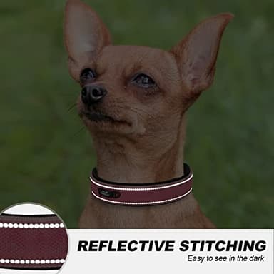 TwoEar Dog Collars for Small Dogs, Heavy Duty Dog Collar with Soft Neoprene Padded, Adjustable Reflective Nylon Dog Collar with Metal Buckle (S, Pink) - Image 5