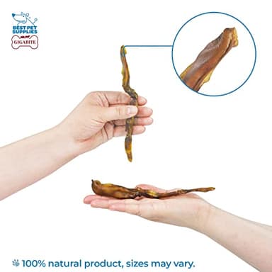Best Pet Supplies GigaBite Roasted Pig Ears for Dogs - Natural Dog Chews, Roasted Pigs Ears, Safe for Puppies and Aggressive Chewers, Cleans Teeth and Gums - Slivers, 2.2 Pounds - Image 3