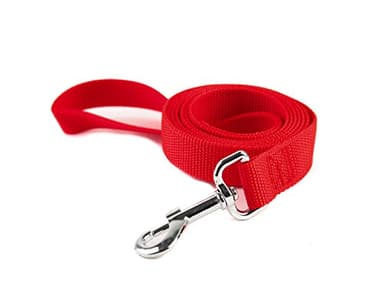 Strong Nylon Dog Leash, for Medium Large Dogs Walking, Training or Exploring, 10 feet Long 1 inch Wide - Image 2