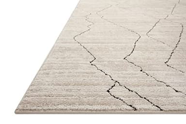 Loloi Darby Collection DAR-03 Sand/Charcoal 9'-2" x 13' Area Rug - Image 4