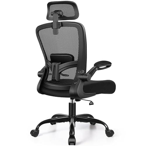 FelixKing Office Chair, Desk Chair with Adjustable Lumbar Support, Ergonomic Computer Chair with High Back and Armrest, Adjustable Height Gaming Chair Home Office Swivel Chair(Black) - Image 1