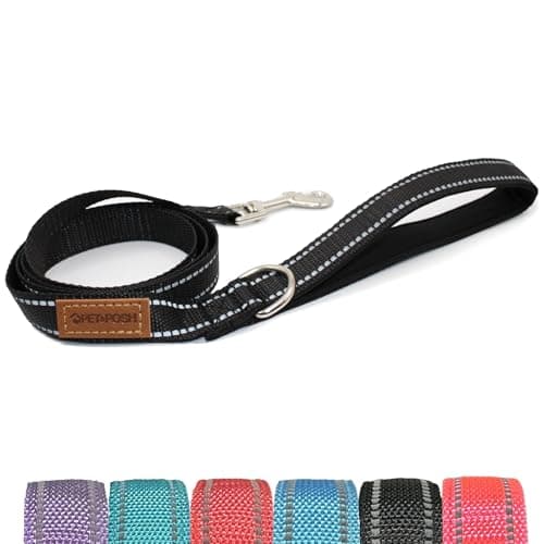 Pet & Posh Reflective Dog Leash - Premium Neoprene Padded Leash, Adjustable & Breathable Nylon for Safety and Style (Black, 6 ft Narrow)