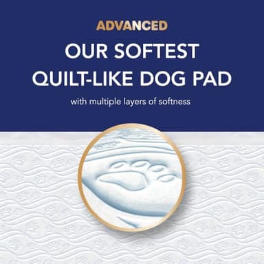 Scott Pet Guard Advanced Dog Pads - Large - 22" x 22" - 50 Pack of Pet Pads - Image 5
