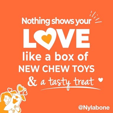Nylabone Dog Gift Box, Includes 3 Strong Chew Toys and 1 Natural Treat, Gifts for Dogs, Large - Up to 50 lbs, 4 Pack - Image 5