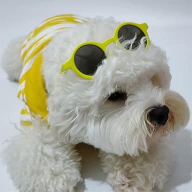 Cute Dog Clothes Striped Dog Polo Shirts Cute Sweater Puppy Clothes Gentle Sweater Pet Clothes for Small Medium Large Dogs Cats (Yellow Stripe, XXL Size for 30-40lb Pets) - Image 3