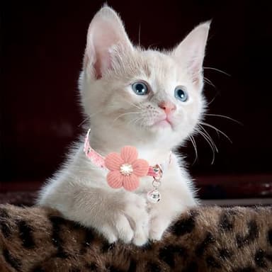 Cat Collar, HYQHYX Breakaway Kitten Collar with Flower,Rhinestone Kitty Collar with Bell, Floral Pet Collar with Safety Buckle for Cats and Puppy Dog - Image 8