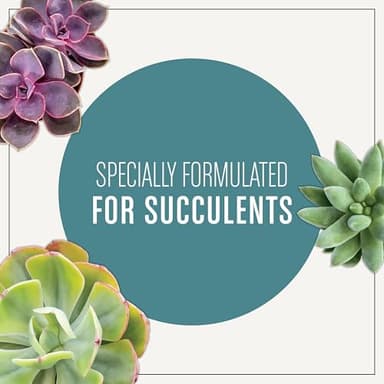 Miracle-Gro Succulent Potting Mix, For Indoor Succulents, Aloe Vera and More, Made with Miracle-Gro Plant Food, 4 qt - Image 2