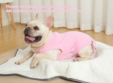 Caslfuca Dog Surgery Recovery Suit - After Spay, Abdominal Wounds Post Surgical Recovery, Anti Licking Breathable Dog Onesies for Small, Medium & Large Pet, Alternative Bandages Cone E-Collar - Image 5