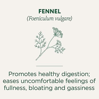 Traditional Medicinals Tea, Organic Fennel, Promotes Healthy Digestion, 96 Tea Bags (6 Pack) - Image 3